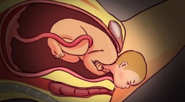 Kadın vücudunun ve hamileliğin büyüleyici gerçekleri