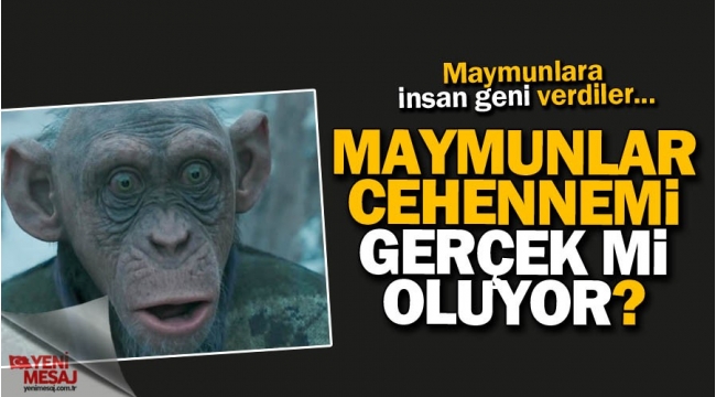 Maymunlar gezegeni gerçek mi oluyor?