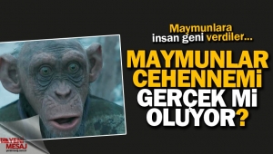 Maymunlar gezegeni gerçek mi oluyor?