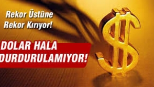 Dolar durdurulamıyor