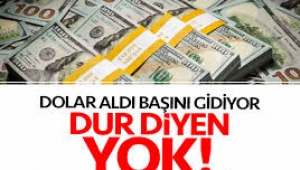 Dolar yine uçtu