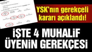 YSK üyesi Aykın'ın 17 sayfalık muhalefet şerhi iptal gerekçelerini çürüttü