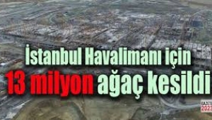 Üçüncü Havalimanı için kaç milyon ağaç kesildi?...