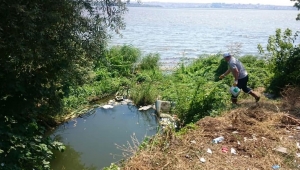 İstanbul'da görülen Batı Nil virüsünün yayılma nedeni ortaya çıktı