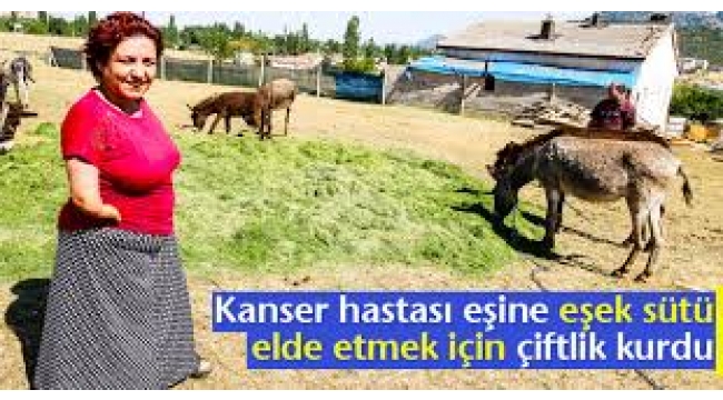 Kanser hastası eşine içirdiği eşek sütü için çiftlik kurdu...