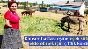 Kanser hastası eşine içirdiği eşek sütü için çiftlik kurdu...