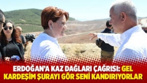 Akşener'den Erdoğan'a: Maden ruhsatını adamların vermiş
