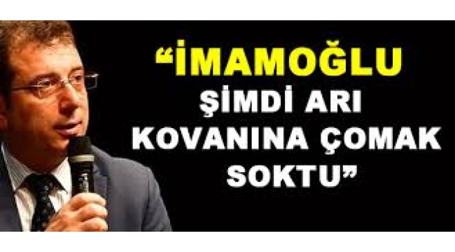 İmamoğlu yorumu: Asıl şimdi arı kovanına çomak soktu!