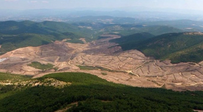 Kazdağları'ndaki altın şirketine dair bilinmeyenler...