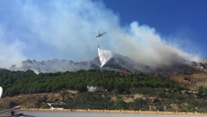 Marmara Adası'ndaki orman yangını 'büyük oranda' kontrol altına alındı