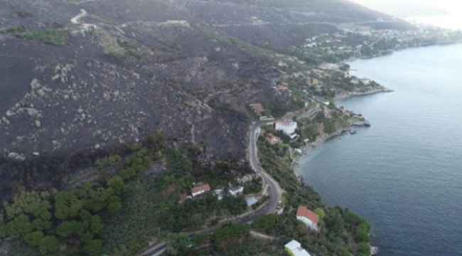 Marmara Adası'ndaki orman yangınının bilançosu belli oldu