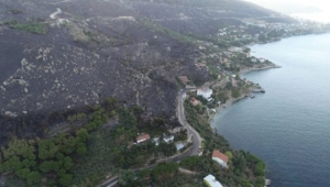 Marmara Adası'ndaki orman yangınının bilançosu belli oldu