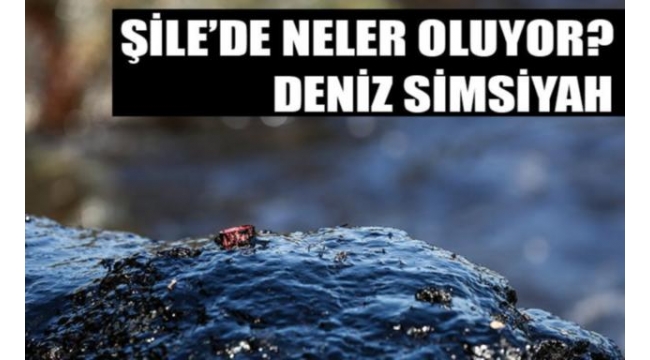 Şile'de neler oluyor? Deniz simsiyah