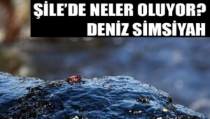 Şile'de neler oluyor? Deniz simsiyah