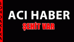 Şırnak'tan acı haber! 3 asker şehit, 1 asker yaralı