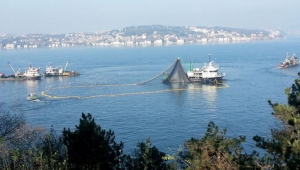 Uzmanlar uyardı: "Marmara Denizi balıksız kalabilir"