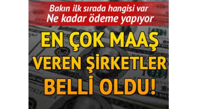 Çalışanlarına en fazla maaş ödeyen şirketler belli oldu