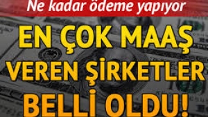 Çalışanlarına en fazla maaş ödeyen şirketler belli oldu