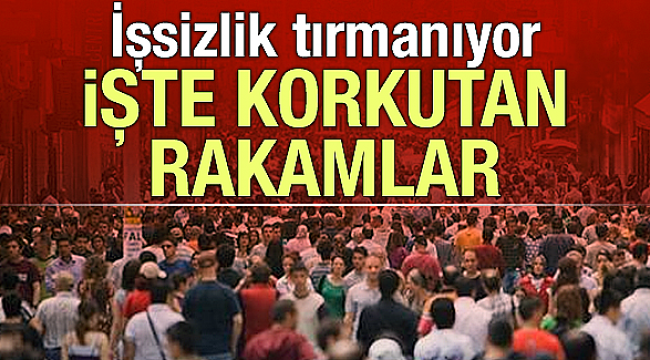 Rakamlar açıklandı! Genç işsizlik korkutuyor