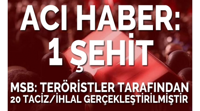 Barış Pınarı Harekatı'ndan acı haber: 1 şehit