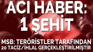 Barış Pınarı Harekatı'ndan acı haber: 1 şehit