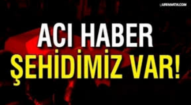 Bir acı haber daha: 7 şehit, 85 yaralı