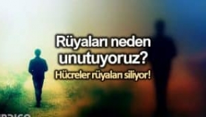 Rüyalar hafızadan neden ve nasıl siliniyor?