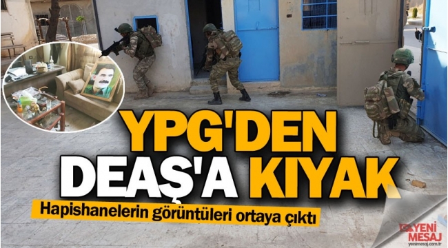 Skandal görüntüler... YPG'den DEAŞ'a kıyak