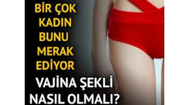 vajina şekli nasıl olmalı 