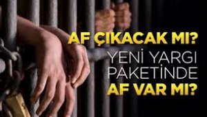 AKP'nin af paketinde 5 suça yer yok