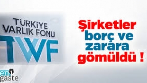 Varlık Fonu'na devredilen şirketlerin kârı düştü, borcu arttı