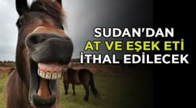 Sudan'dan at ve eşek eti ithal edilecek