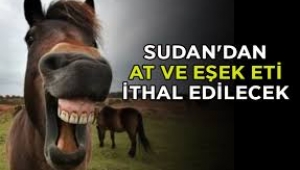 Sudan'dan at ve eşek eti ithal edilecek