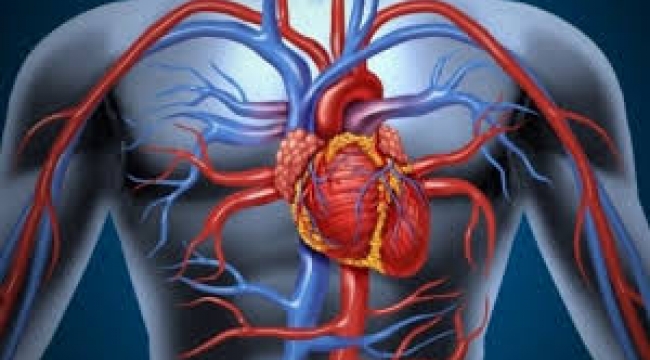 Tıkalı damarlar için yapılan kalp ameliyatları gereksiz olabilir