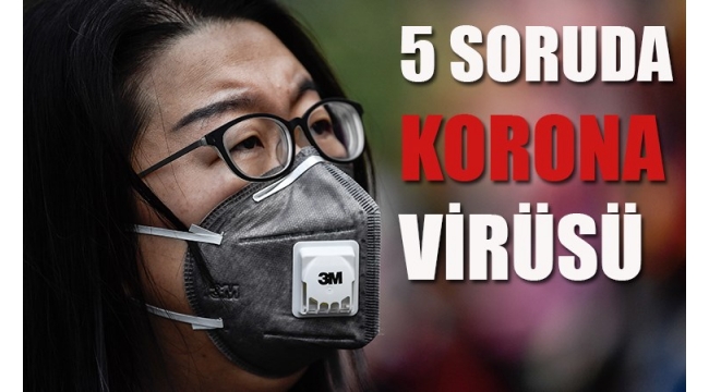 5 soruda korona virüsü