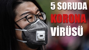 5 soruda korona virüsü