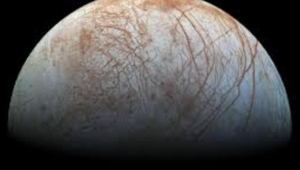 "Jupiter'in uydusunda ahtapot benzeri uzaylılar olabilir"