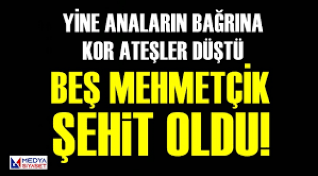 Millî Savunma Bakanlığı: İdlib'de 5 asker şehit oldu