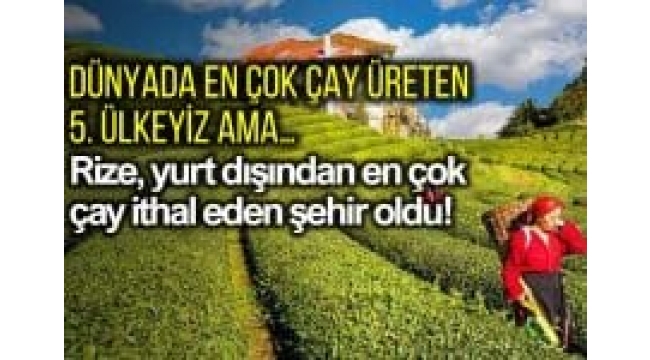 Rize yurt dışından en çok çay ithal eden şehir oldu!