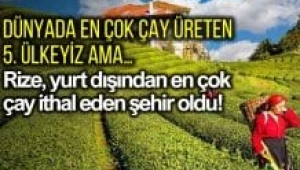 Rize yurt dışından en çok çay ithal eden şehir oldu!