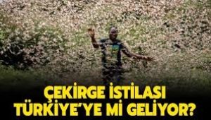 Çekirge İstilası