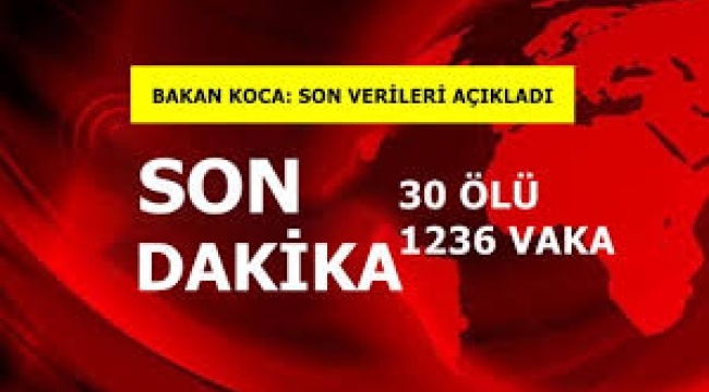 Koronavirüs nedeniyle hayatını kaybedenlerin sayısı 30'a; vaka sayısı 1236'ya yükseldi