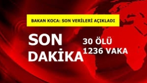 Koronavirüs nedeniyle hayatını kaybedenlerin sayısı 30'a; vaka sayısı 1236'ya yükseldi