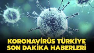 Koronavirüs son durum