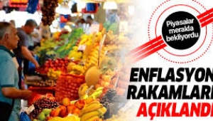 Şubat ayı enflasyon rakamları açıklandı