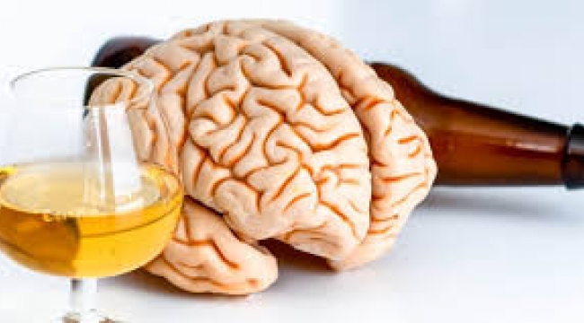 Beyinde aşırı alkol tüketimini kontrol eden bölge bulundu