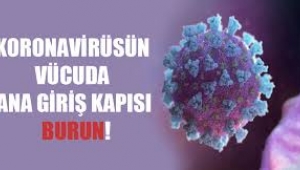 Koronavirüsün vücuda ana giriş kapısı bulundu