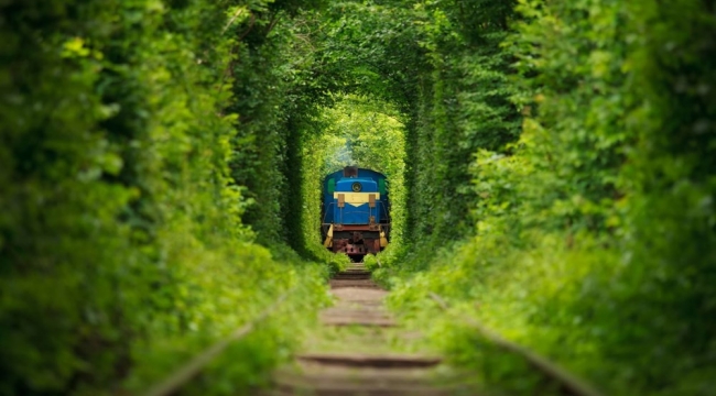 Sadece masallarda olur dedirten yer: Ukrayna Aşk Tüneli (Tunnel of Love)