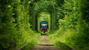 Sadece masallarda olur dedirten yer: Ukrayna Aşk Tüneli (Tunnel of Love)