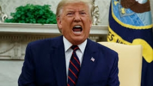 Trump'ın 1915 olaylarına ilişkin açıklamasına tepki